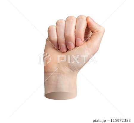 Fist, hand up, clenched power. Isolated white background. Protest arm, empower symbol, revolution Fist, hand up, clenched power. Isolated white background. Protest arm, empower symbol, revolution 115972388