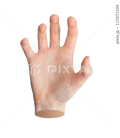 Hand gesture, catching or holding something Isolated on white background Open attacking fingers, 115972394