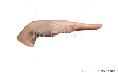 Hand gesture, palm down, measuring horizontal level Isolated on white background Fingers straight, 115972402