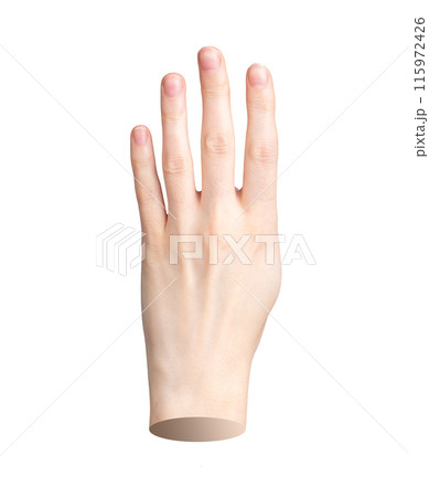Hand showing four fingers, counting 4. Fourth number gesture, isolated symbol on white background. Hand showing four fingers, counting 4. Fourth number gesture, isolated symbol on white background. 115972426