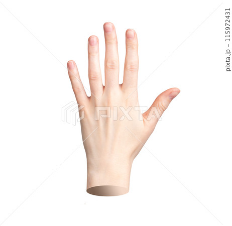 Hand with open fingers. Dorsal view, woman wrist, neat womanicure. Isolated on white background. Hand with open fingers. Dorsal view, woman wrist, neat womanicure. Isolated on white background. 115972431