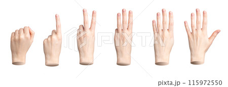 Hand showing fingers counting. One, two, three, four, five numbers isolated. Gestures for count, 115972550