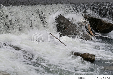 河川の氾濫・増水 115973478