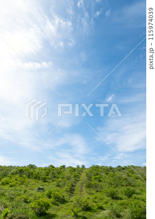 さわやかな高原風景 115974039
