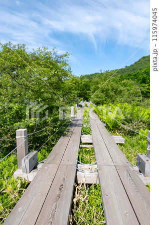 栃木県那須塩原市沼ッ原湿原木道のある風景 栃木県那須塩原市沼ッ原湿原木道のある風景 115974045