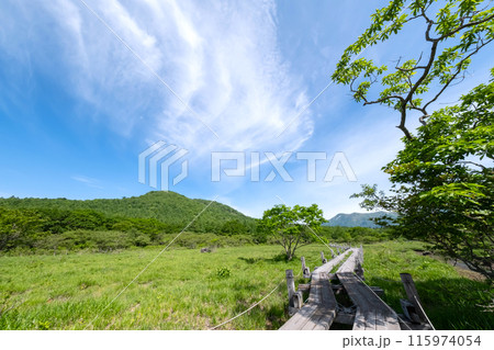 栃木県那須塩原市沼ッ原湿原木道のある風景 115974054