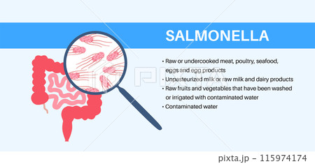 .Salmonella Typhimurium Cells .Salmonella Typhimurium Cells 115974174