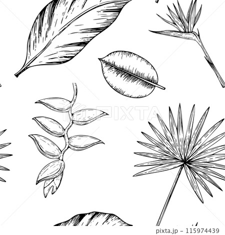 Tropical vector seamless pattern with palm leaves, heliconia, Bird of Paradise or Strelitzia reginae flowers illustrations on isolated background. Beautiful botanical hand painted exotic element. For 115974439