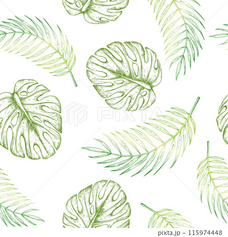 Tropical seamless pattern with vector monstera and palm leaves illustrations on isolated background. Beautiful botanical hand painted exotic element. For designers, spa decoration, postcards, wedding, Tropical seamless pattern with vector monstera and palm leaves illustrations on isolated background. Beautiful botanical hand painted exotic element. For designers, spa decoration, postcards, wedding, 115974448