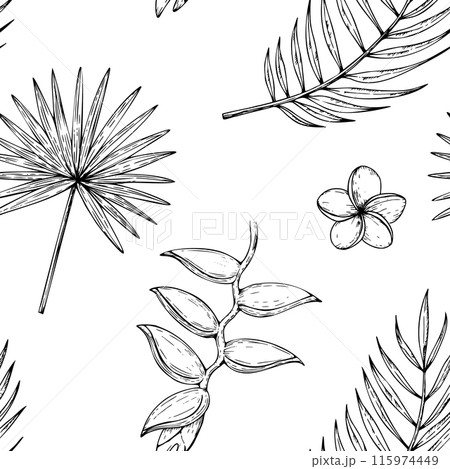 Tropical vector seamless pattern with palm leaves, heliconia, Bird of Paradise or Strelitzia reginae flowers illustrations on isolated background. Beautiful botanical hand painted exotic element. For 115974449