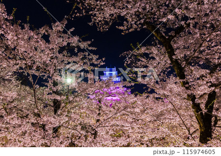 日本さくら名所100選　福島　鶴ヶ城（会津若松城）　夜桜ライトアップ 115974605