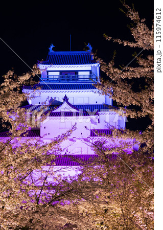 日本さくら名所100選　福島　鶴ヶ城（会津若松城）　夜桜ライトアップ 115974612