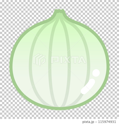 新玉ねぎ 115974931
