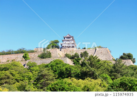 【香川県】北側内堀から見た五月晴れの丸亀城（現存天守と石垣の名城） 115974935