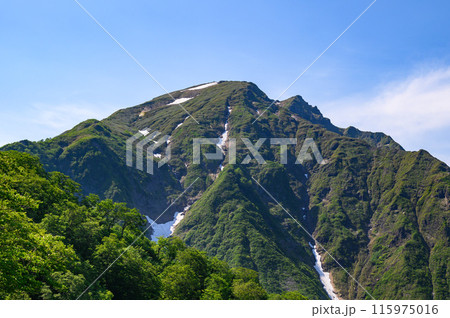 (群馬県)天神尾根より望む谷川岳の絶景 (群馬県)天神尾根より望む谷川岳の絶景 115975016