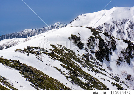 中央アルプスの将棋頭山 残雪期登山 空木岳(山頂からの景色) 中央アルプスの将棋頭山 残雪期登山 空木岳(山頂からの景色) 115975477