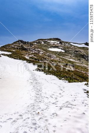 中央アルプスの将棋頭山　残雪期登山　将棋頭山の頂上 115975478