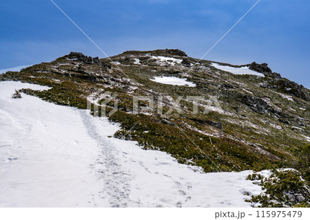 中央アルプスの将棋頭山　残雪期登山　将棋頭山の頂上 115975479