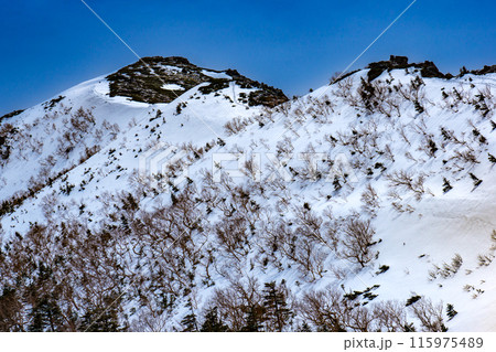 中央アルプスの将棋頭山 残雪期登山 茶臼山分岐から見上げる将棋頭山 中央アルプスの将棋頭山 残雪期登山 茶臼山分岐から見上げる将棋頭山 115975489