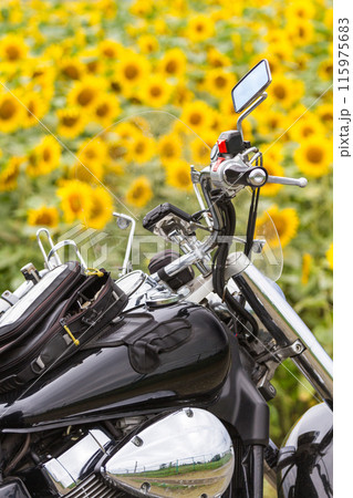 「北海道」バイクと美瑛のヒマワリ畑の風景 115975683