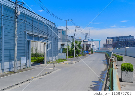 東京都江戸川区妙見島の風景2024年6月 東京都江戸川区妙見島の風景2024年6月 115975703