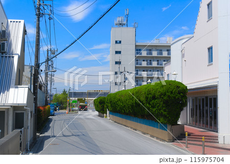 東京都江戸川区妙見島の風景2024年6月 115975704