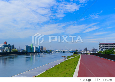 東京都江戸川区旧江戸川沿いの風景2024年6月の写真素材 [115975986 