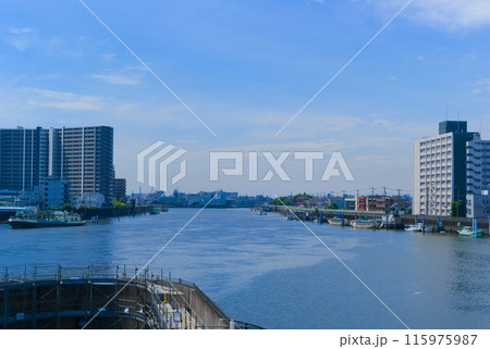 東京都江戸川区旧江戸川沿いの風景2024年6月 115975987