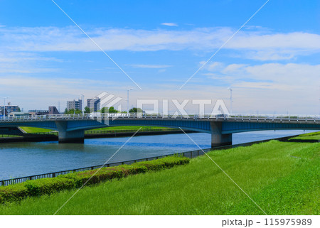 東京都江戸川区明和橋周辺2024年6月 東京都江戸川区明和橋周辺2024年6月 115975989