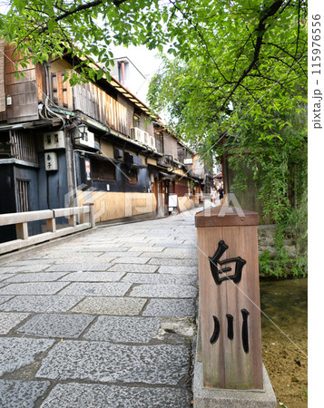 祇園 白川と巽橋 京都府 祇園 白川と巽橋 京都府 115976556