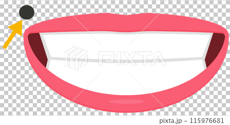 口元のホクロ 115976681