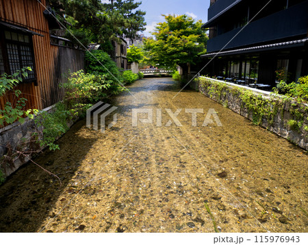 祇園 白川 新門前橋付近 京都府 祇園 白川 新門前橋付近 京都府 115976943