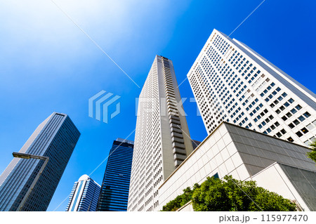 新宿副都心 議事堂通りから見上げる高層ビル群 2024.06 高コントラスト 新宿副都心 議事堂通りから見上げる高層ビル群 2024.06 高コントラスト 115977470