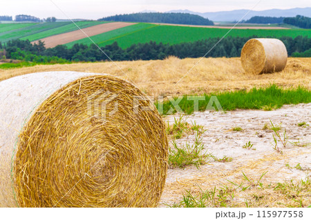「北海道」美瑛の丘・麦畑と干草ロール 「北海道」美瑛の丘・麦畑と干草ロール 115977558