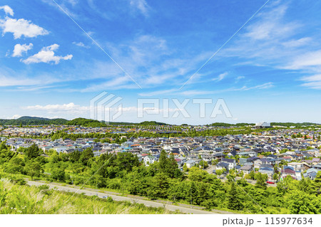 緑豊かな郊外の住宅地 115977634