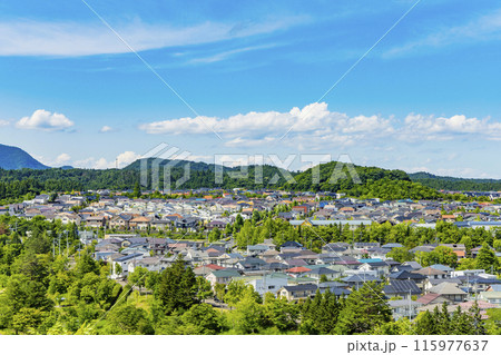 緑豊かな郊外の住宅地 115977637