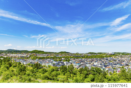 緑豊かな郊外の住宅地 緑豊かな郊外の住宅地 115977641