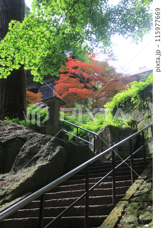 石段・仁王門・山寺（山形県・山形市） 115977669