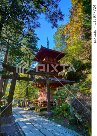 秋の群馬県高崎市 榛名神社の参道の拝殿側から三重塔(神宝殿)と鳥居を見る 115977724