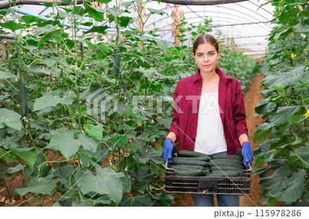 Girl pushing cart with cucumbers Girl pushing cart with cucumbers 115978286