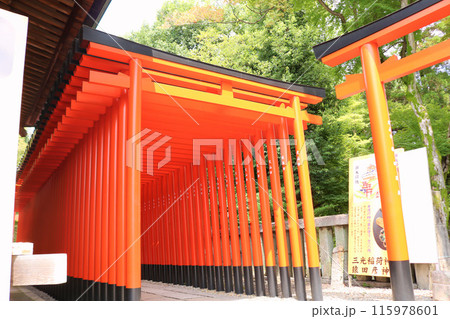 [愛知県]犬山市の三光稲荷神社の鳥居 115978601
