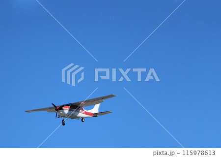 [愛知県]名古屋空港での航空機 115978613