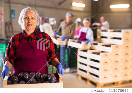 Smiling elderly woman stacking boxes with plums at fruit warehouse 115978653