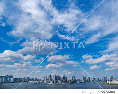レインボーブリッジから望む東京都市風景（晴海方面） 115978868