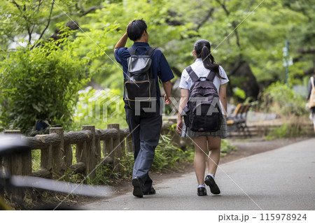 公園を歩く高校生男女 115978924