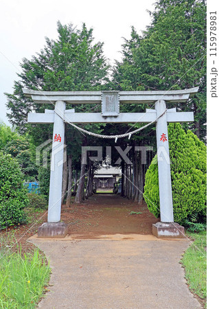 白鬚神社（川越） 115978981