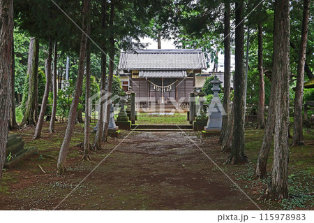 白鬚神社(川越) 白鬚神社(川越) 115978983