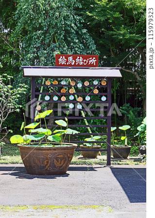 新座観音（新座） 115979323