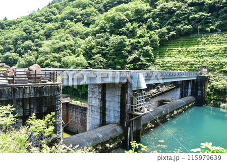 神奈川県立あいかわ公園 石小屋ダムと石小屋橋と新緑 神奈川県立あいかわ公園 石小屋ダムと石小屋橋と新緑 115979639