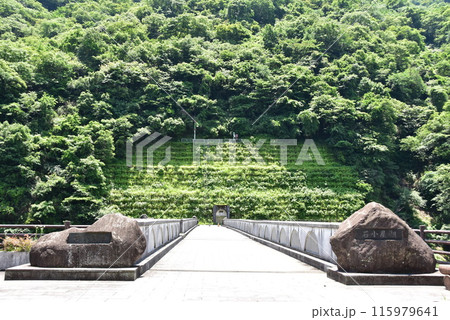 神奈川県立あいかわ公園　石小屋ダムの石小屋橋と新緑 115979641